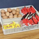 가브리엘 퀸스점 이미지