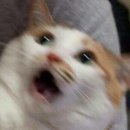 수원랜드 이미지