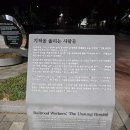 동광장 이미지