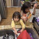 R,in(알인) | 시카고 일상] #31 미국에서 첫 데이트 | Parents out | Robert R. McCormick House Grand Opening 20260425
