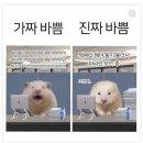 11월 4주 photo dump :칼디 퀸아망 강습수영 슬립퍼앤누어침대후기 AS후기 수도권 폭설