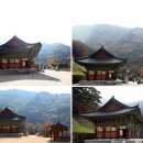 제173차 제16교구본사,의성=고운사 / 봉화=축서사 이미지