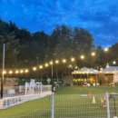 할리우독 이미지