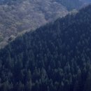 우장산공원길 이미지