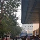 K2당구장 | [D+2] 코넛 플레이스에서 환전/인도 화폐개혁/빠하르간지 인도방랑기/조스텔 델리 호스텔