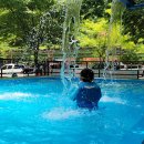 선바위펜션 | [육아．정보] 경상도 평상대여 가능한 계곡·캠핑장｜당일치기 인기 장소 9곳