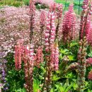 으뜸과버금 이미지