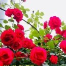 아름다운날 이미지