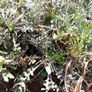 국용농장 이미지