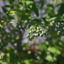 샘골농원 이미지