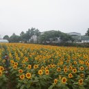 김경숙농장 이미지