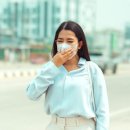 지역환경연구소 이미지