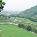 엠버(Amber) 이미지