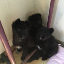 병원농장 이미지