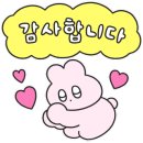 영웅K TIGERS 태권도장 이미지