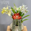번동꽃집 샬롬꽃방 가격 위치 영업시간