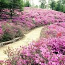 군포-산본-2015 네이버블로그