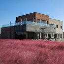 블랜드미(BLENDMI) 이미지