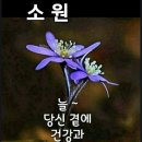 시 한소절 이미지