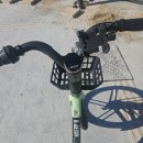 서진푸드 가장점 | 엇나가는시선끝이자꾸길을잃어