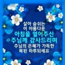 이초석: 교회신문 ＞ 제 1172호 미리 준비한 자는 담대하다 (잠21:3) 이미지