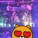 작은동물원수족관 이미지