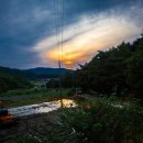 황실 토종닭 이미지