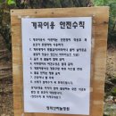 하늘정원펜션 | 여름 문경계곡펜션 강력 추천, 청화산하늘정원 힐링 숙박 후기
