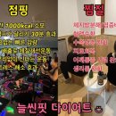 늘씬핏다이어트