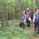 C오동 산행에는 장마도 주춤, 더데오름과 창고천 그리고 군산 올라 이미지