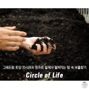 [강원 영월] 미각 여행 추천! 그래도팜 토마로우의 인사이트 트립 #2
