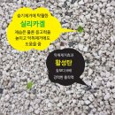 블루펫스토어 | [체험 후기] 합리적인 가성비, 0.5~2mm 부드러운 입자, 블루펫 벤토나이트
