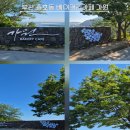 호텔베이커리카페 | 부산 용호동 바다뷰 베이커리카페 가원 후기, 호텔 라운지에 온듯 힐링됐던 시간