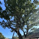 동촌1리경로당 이미지