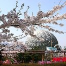 (주) 서울랜드 이미지
