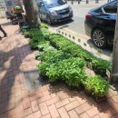 해인농약종묘사 이미지