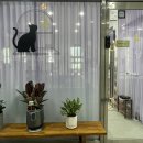 달빛냥살롱 이미지