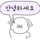 제주품은대패 이미지