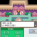 금빛체육관
