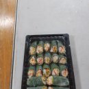 메르테스.홈파티 이미지