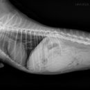 해비치동물병원 이미지