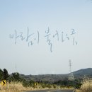 바람이불어오는곳