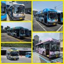 지에스25 부산금곡역점 | [2025 총결산] 2025 부산 이색버스 모음 (2024 2025 마린버스 / 초록우산 / 인형버스 총집합.)