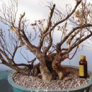 방죽골농장 이미지