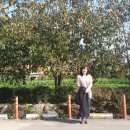 양양IC주유소 이미지