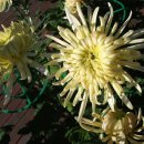 범어리 워터파크 이미지