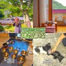 수희재한옥펜션 | 전남 해남 가볼만한곳 대흥사 근처 해남 펜션 땅끝마실 촌캉스 숙소