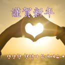 알씨 이미지