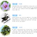 상관초등학교 이미지