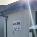 왈왈스테이 이미지